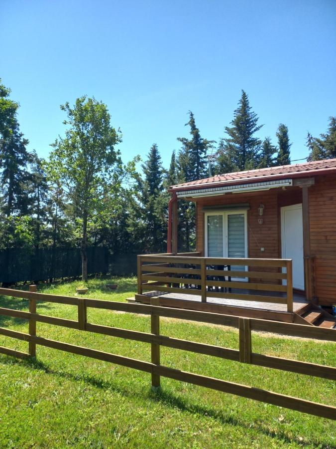 Chalet 4 Personnes Montolieu Екстер'єр фото